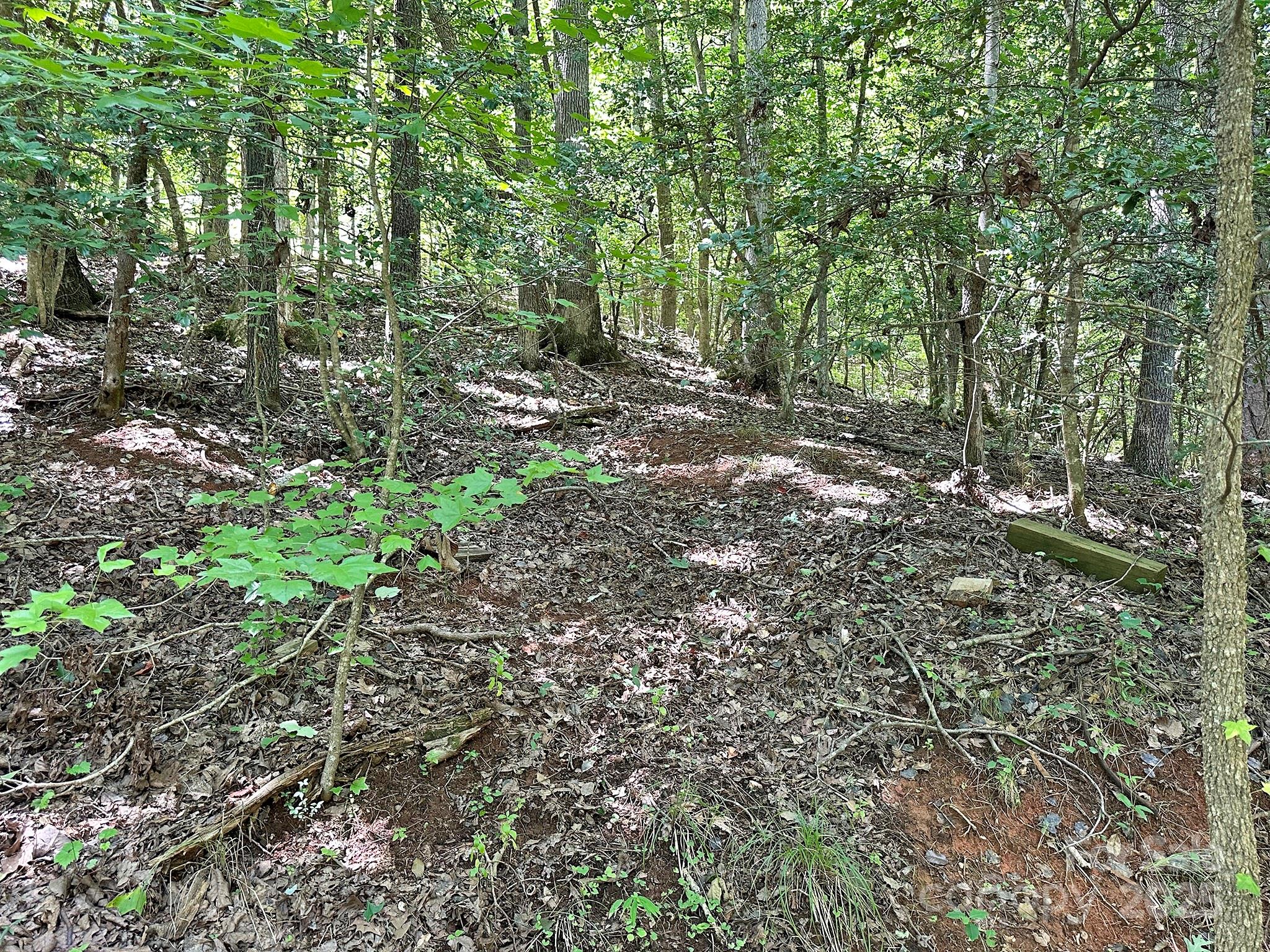 547 Stewart Rock Road Stony Point, NC 28678 - Photo 11 of 29 a view of a forest with trees