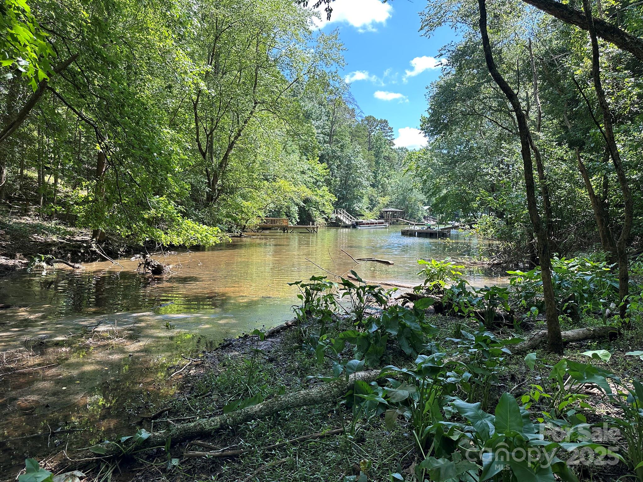 547 Stewart Rock Road Stony Point, NC 28678 - Photo 12 of 29 a view of a lake with a forest