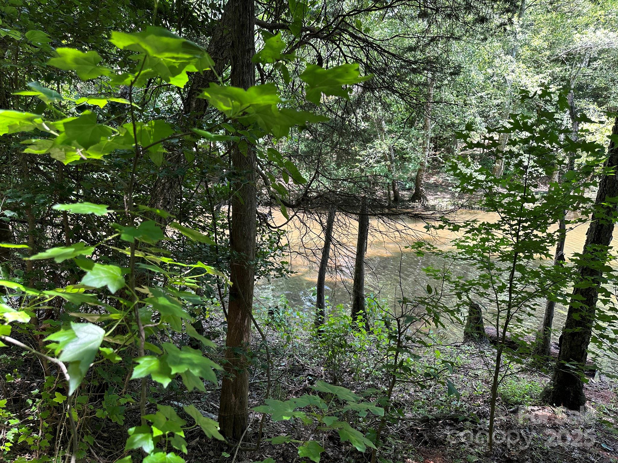 547 Stewart Rock Road Stony Point, NC 28678 - Photo 13 of 29 a backyard of a house with lots of trees