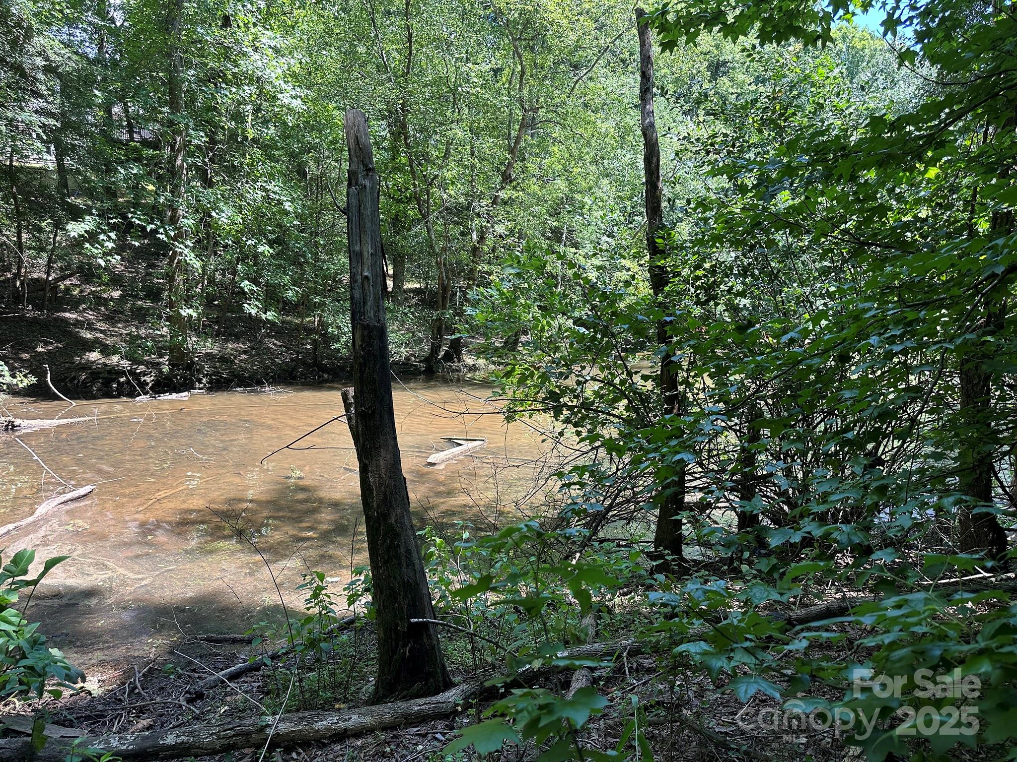 547 Stewart Rock Road Stony Point, NC 28678 - Photo 14 of 29 a view of a forest with trees