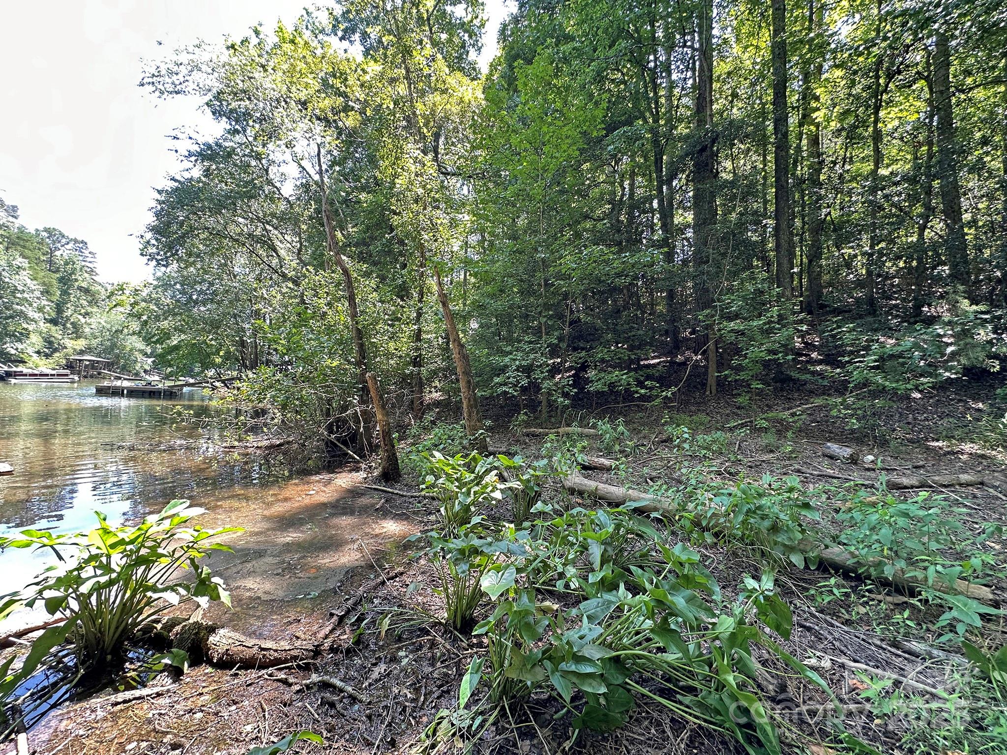 547 Stewart Rock Road Stony Point, NC 28678 - Photo 15 of 29 a view of a garden with a lake