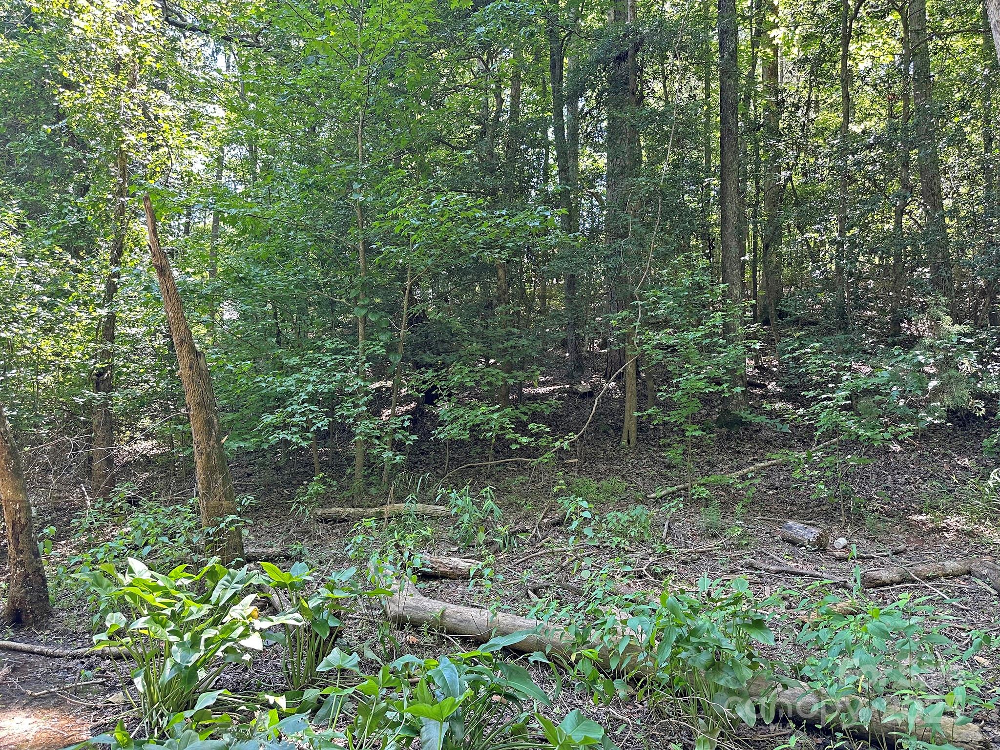 547 Stewart Rock Road Stony Point, NC 28678 - Photo 16 of 29 a view of a forest with trees