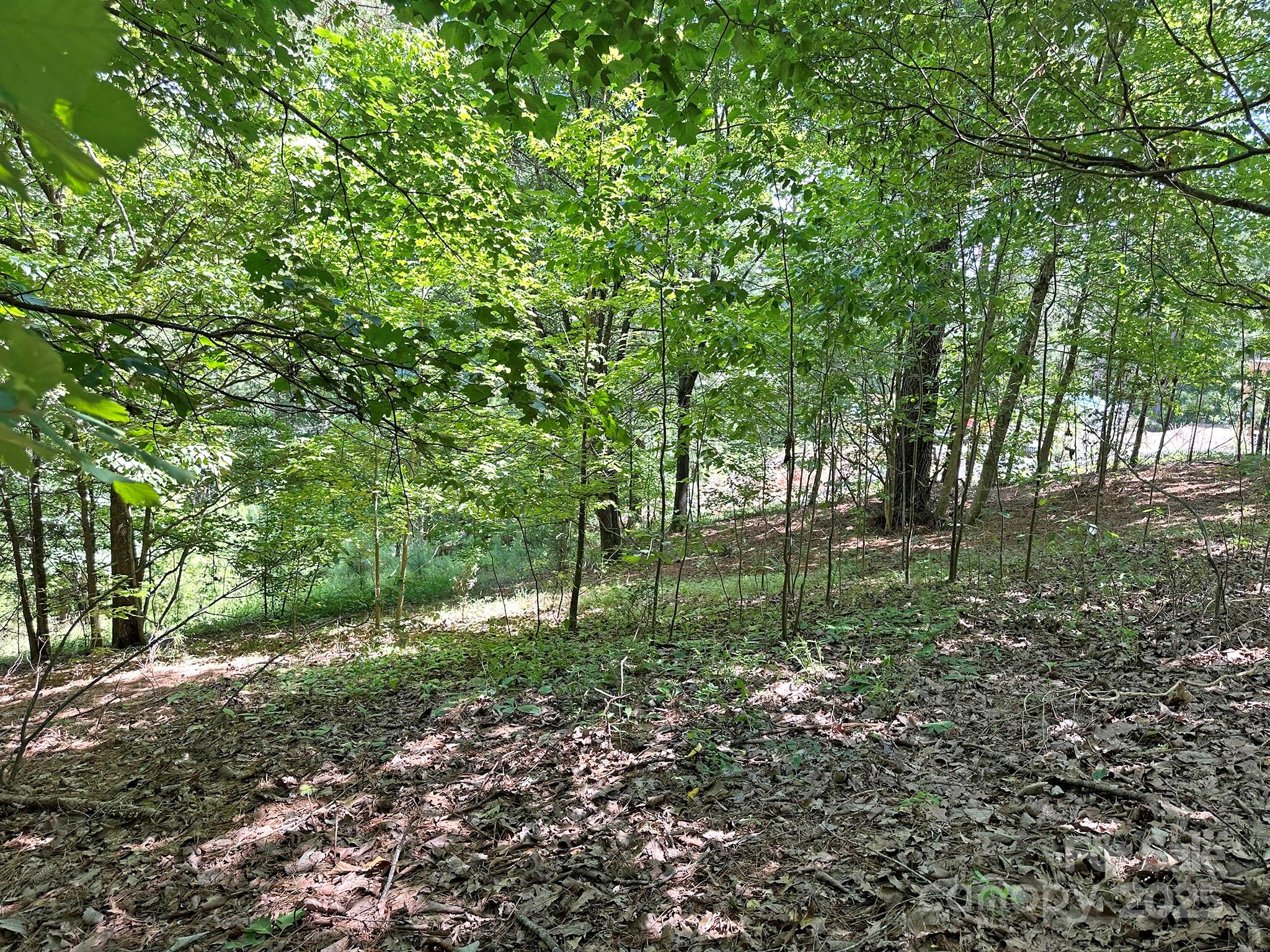 547 Stewart Rock Road Stony Point, NC 28678 - Photo 17 of 29 a big yard with lots of green space and deers
