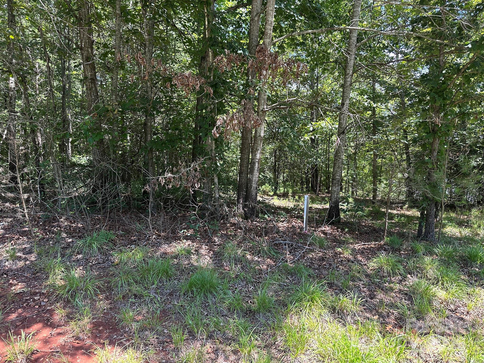 547 Stewart Rock Road Stony Point, NC 28678 - Photo 3 of 29 a big yard with lots of green space and deers