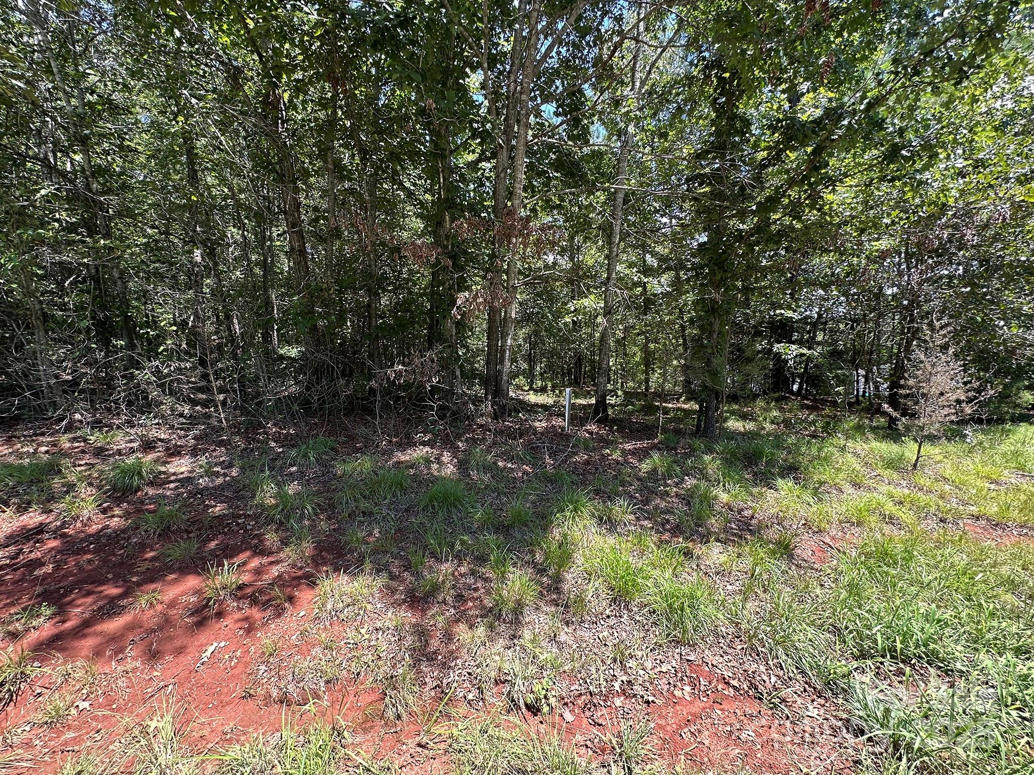 547 Stewart Rock Road Stony Point, NC 28678 - Photo 4 of 29 a view of outdoor space and trees