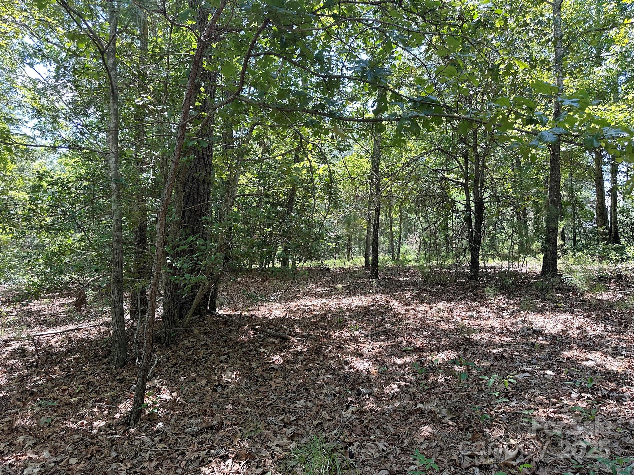 547 Stewart Rock Road Stony Point, NC 28678 - Photo 5 of 29 a view of a forest with trees in the background