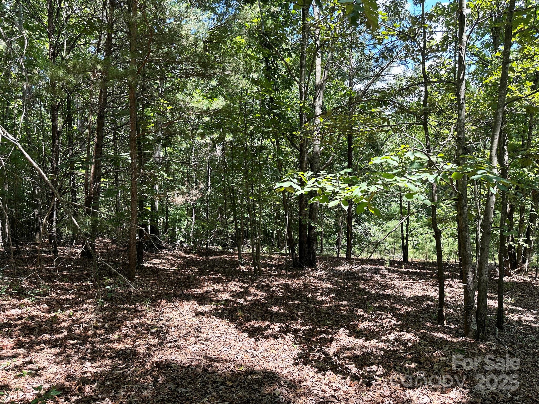 547 Stewart Rock Road Stony Point, NC 28678 - Photo 6 of 29 a view of tree