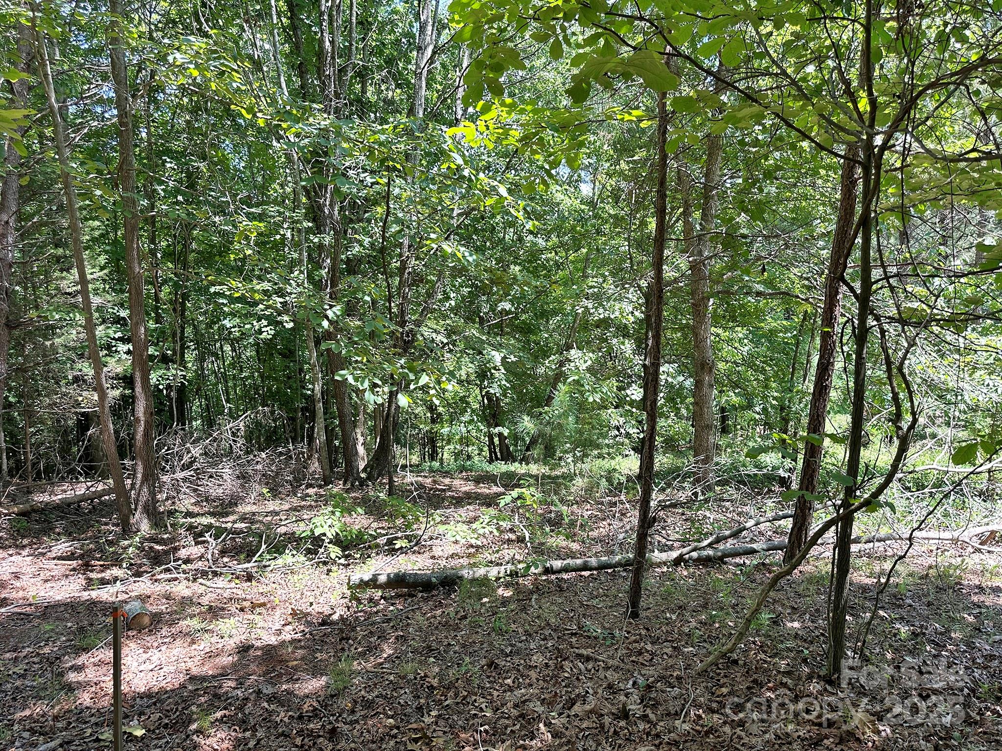 547 Stewart Rock Road Stony Point, NC 28678 - Photo 7 of 29 a view of outdoor space and trees