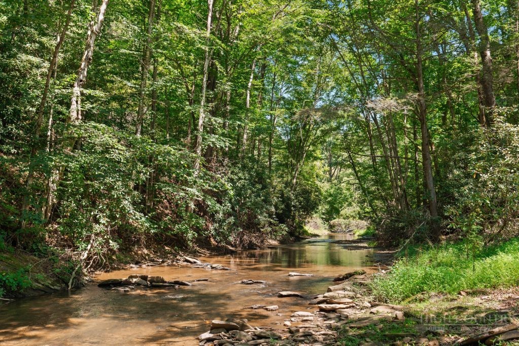 171 Grouse Covert Road Boone, NC 28607 - Photo 14 of 49 Gallery Image 14