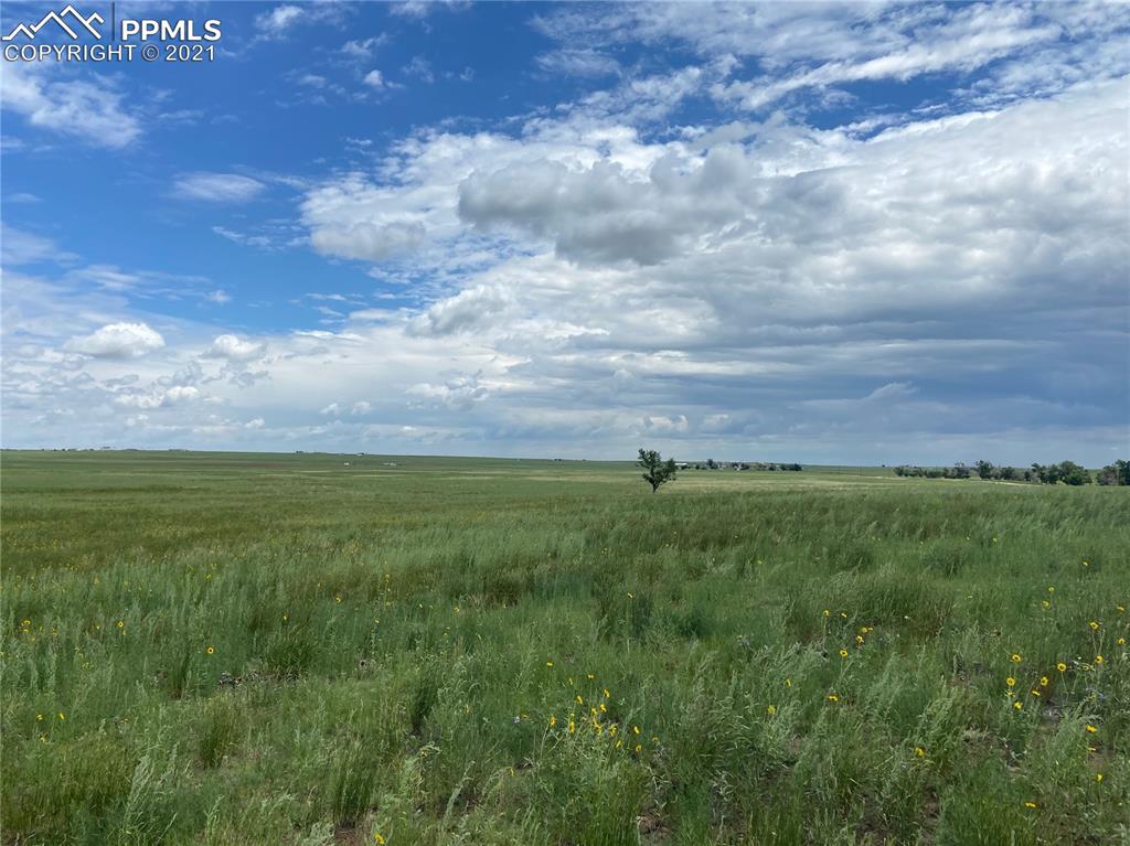 6451 South Johnson Road Rush, CO 80833 - Photo 22 of 46 a view of an outdoor space and yard