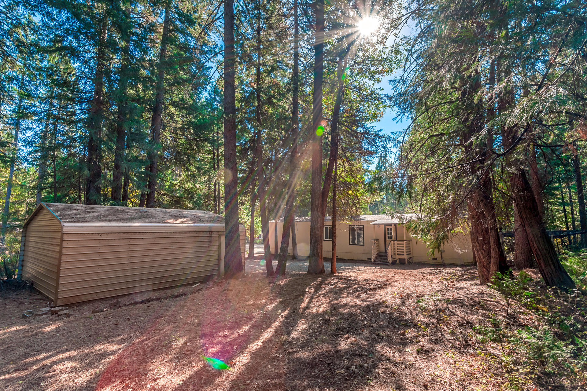 33300 Plateau Pines Road Shingletown, CA 96088 - Photo 14 of 15 5 front