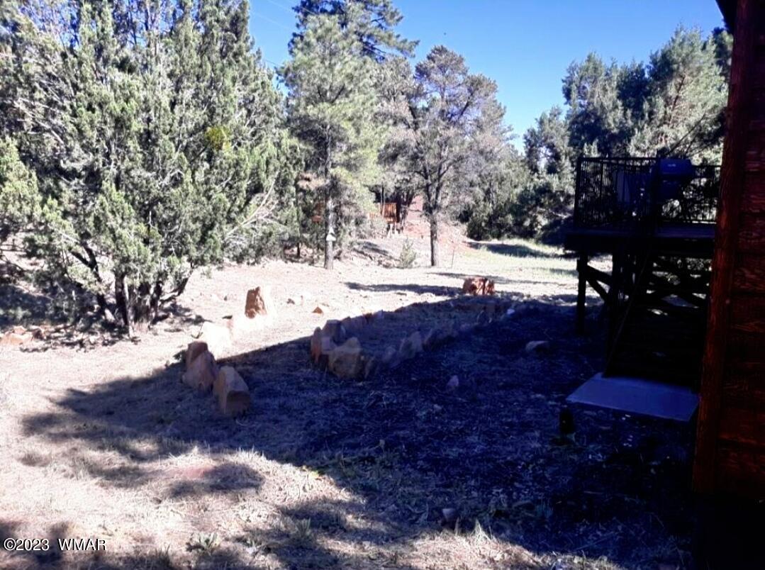 3521 Deer Track Trail Overgaard, AZ 85933 - Photo 7 of 7 a view of outside area
