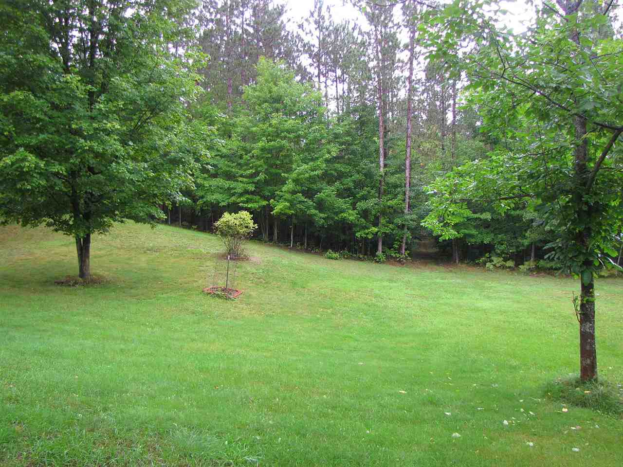 3650 West County Line Road Buckley, MI 49620 - Photo 11 of 33 1807323-10.JPG
