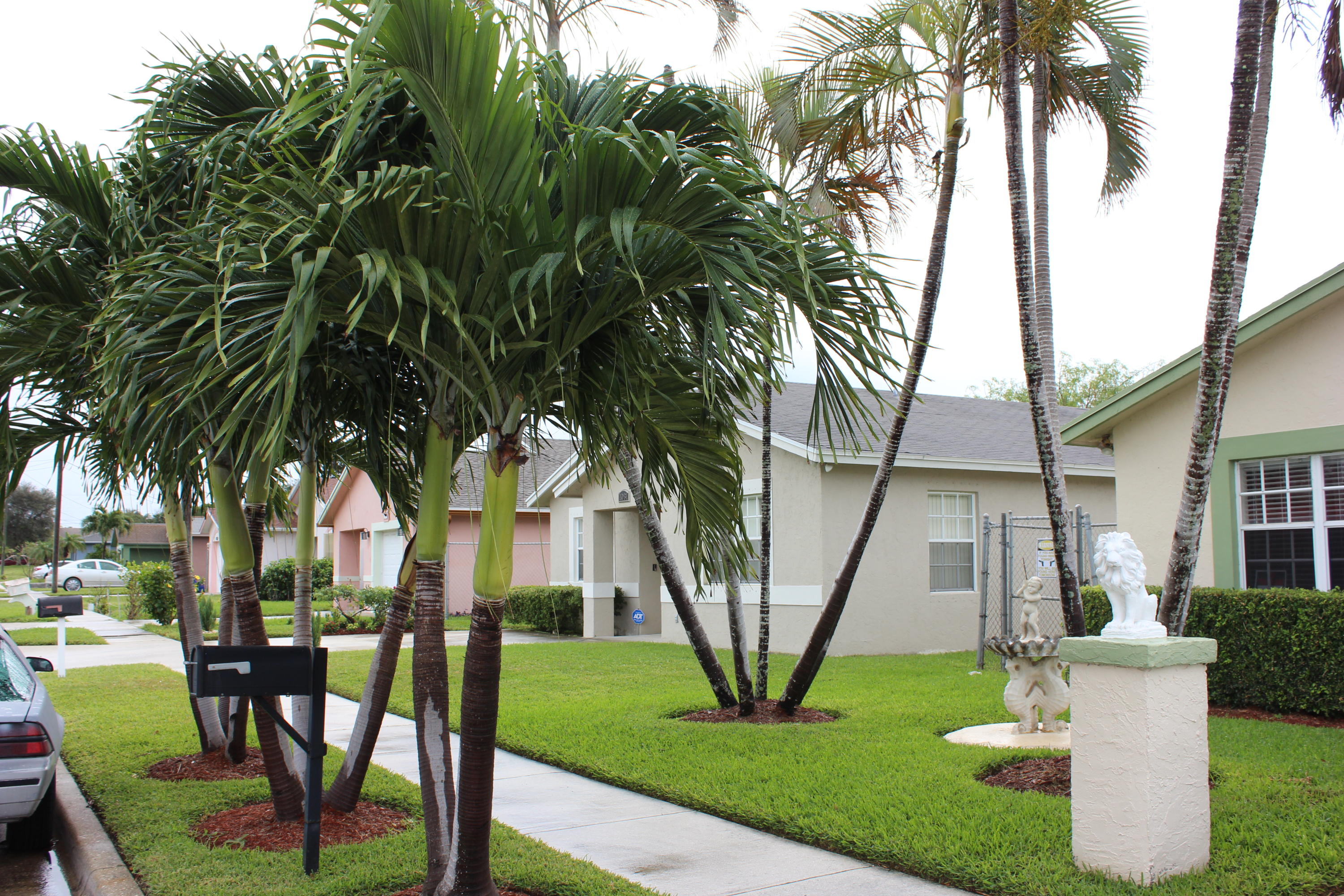 1041 West 10th Street Riviera Beach, FL 33404 - Photo 11 of 14 Lush Landscaping
