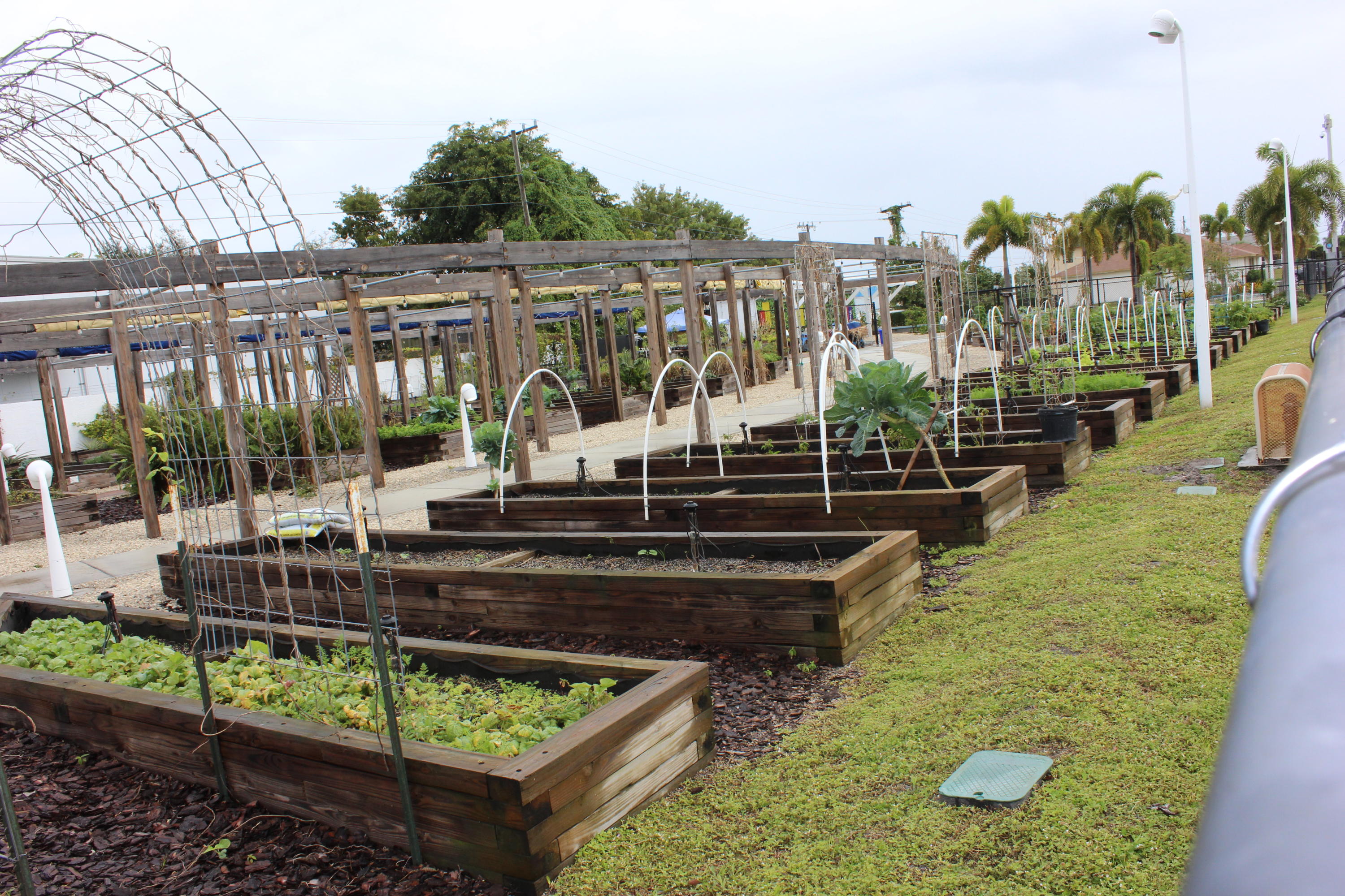 1041 West 10th Street Riviera Beach, FL 33404 - Photo 12 of 14 Riveria Beach Community Garden
