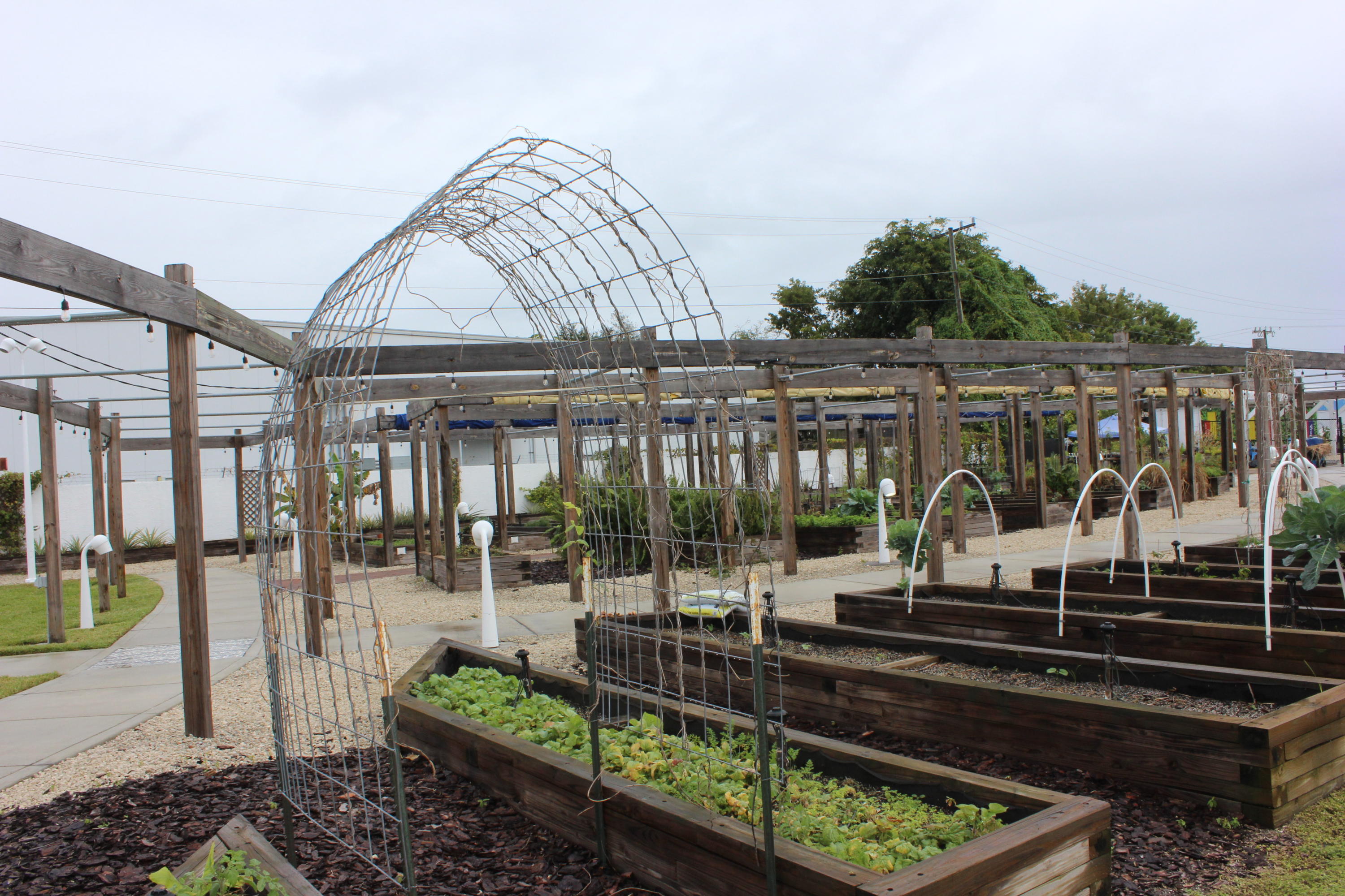 1041 West 10th Street Riviera Beach, FL 33404 - Photo 13 of 14 Community Garden