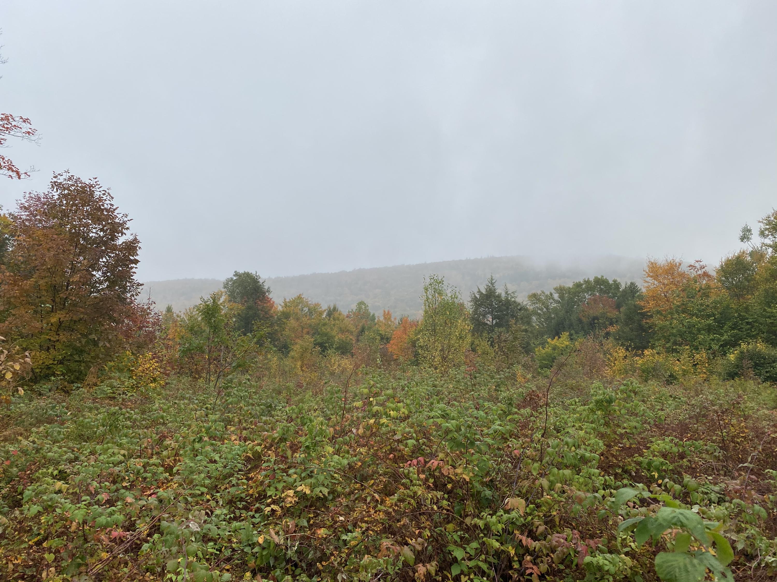 Lot 46 Dill Valley Road Lakeville, ME 04487 - Photo 33 of 38 Photo Sep 29, 12 06 13 PM