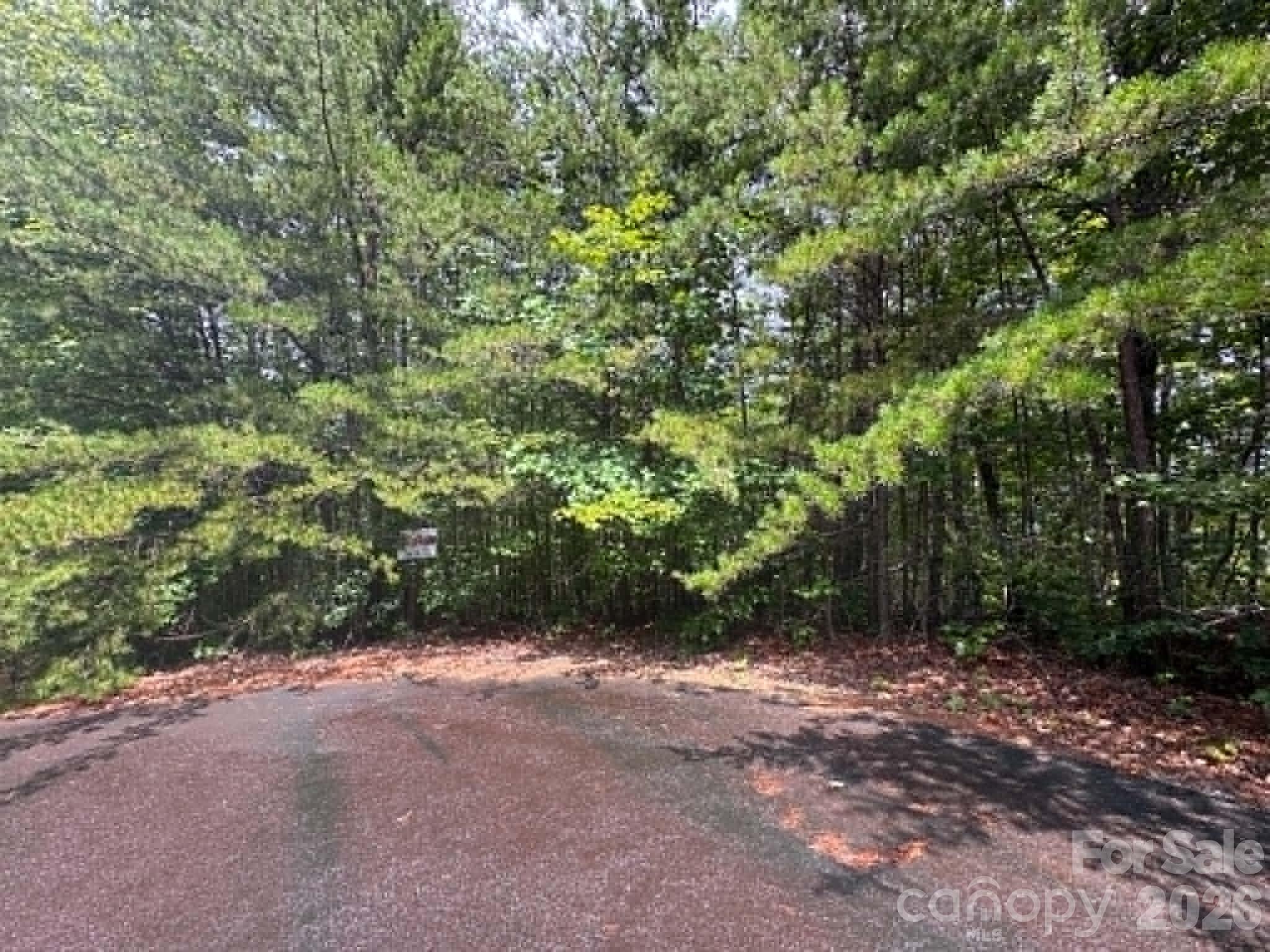 Tbd Fire Tower Road Bostic, NC 28018 - Photo 1 of 8 Gallery Image 1