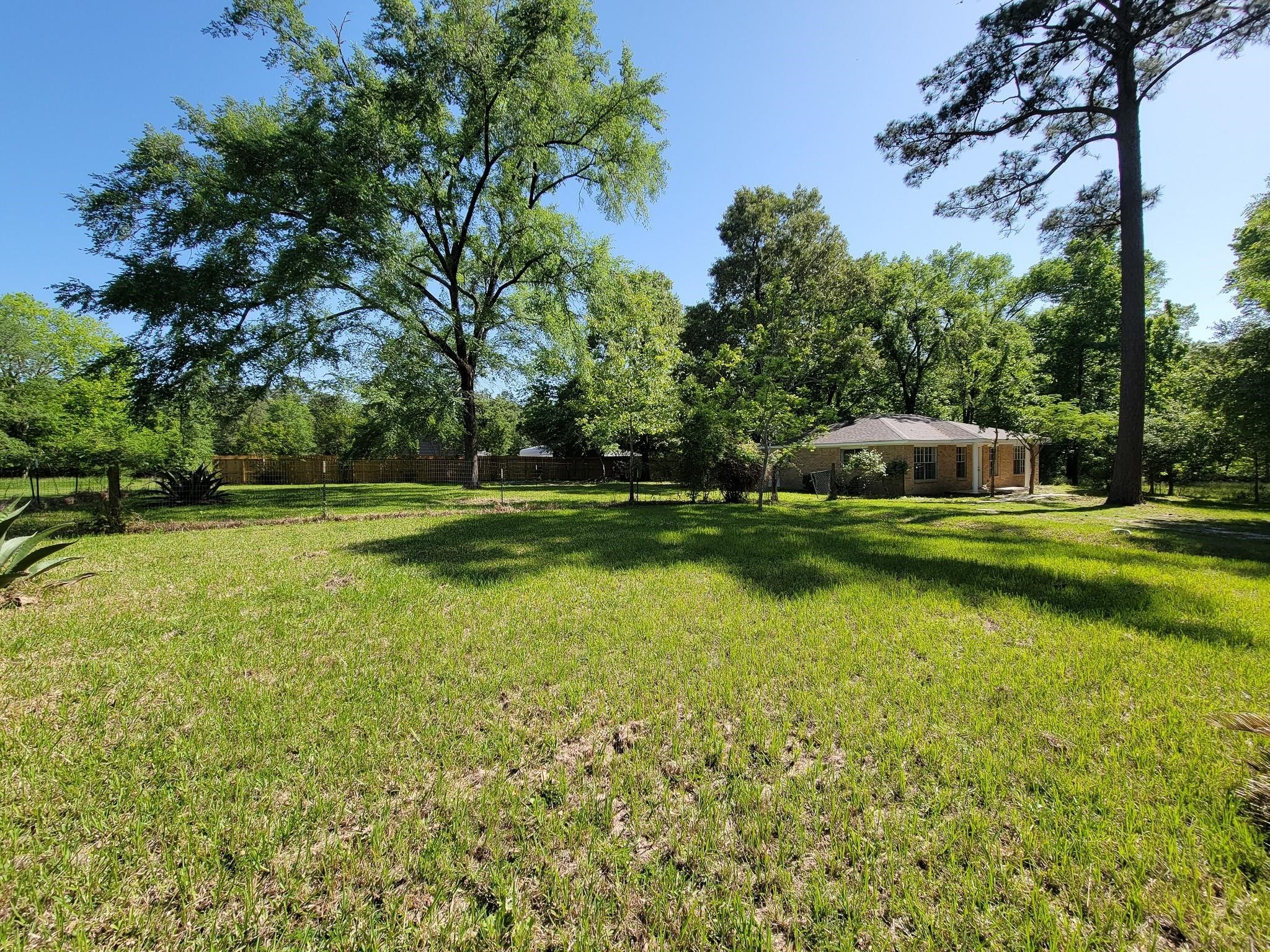 6 Sowell Lane Huntsville, TX 77320 - Photo 27 of 38