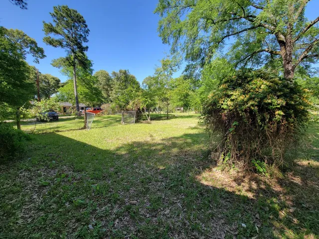 a view of yard with green space and trees
