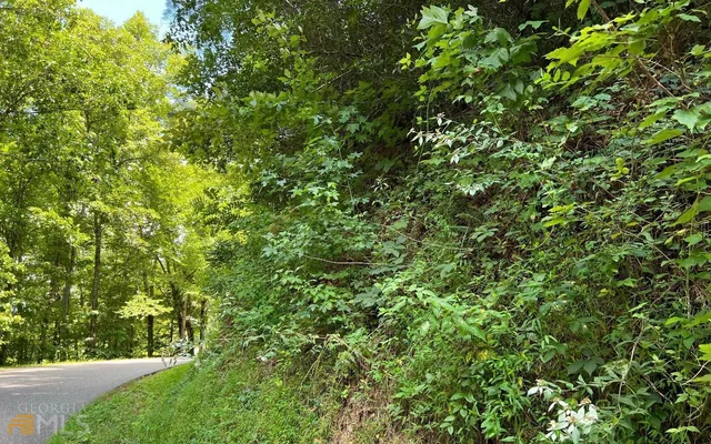 a view of a yard with plants and a tree
