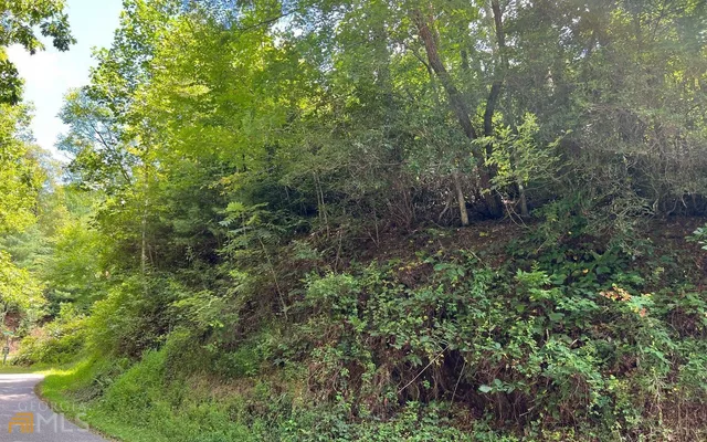 $39,000 | Lot 77 Fires Creek Cove, Hayesville, NC 28904