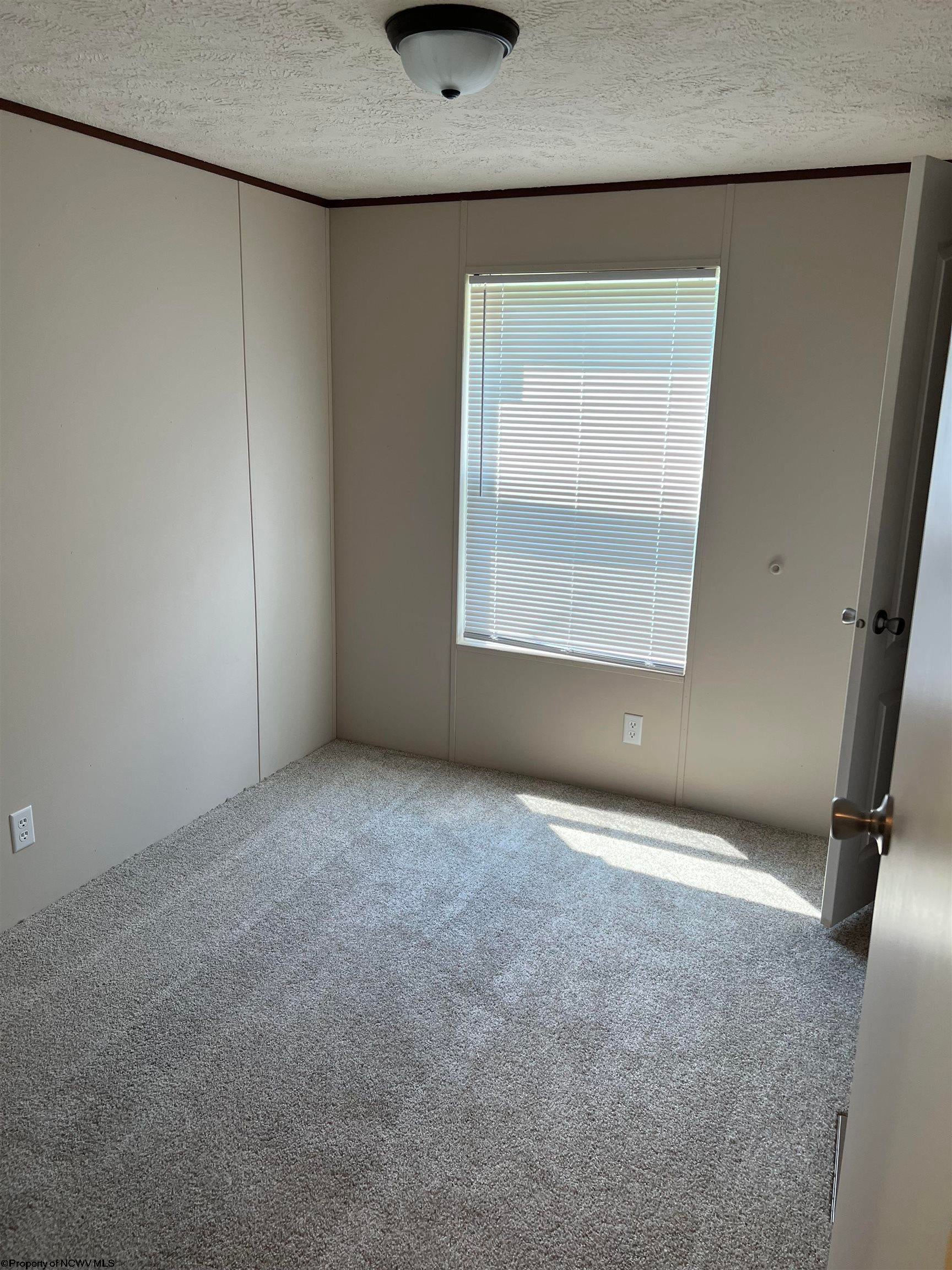 4321 Hunters Fork Road Belington, WV 26250 - Photo 10 of 15 Gallery Image 10