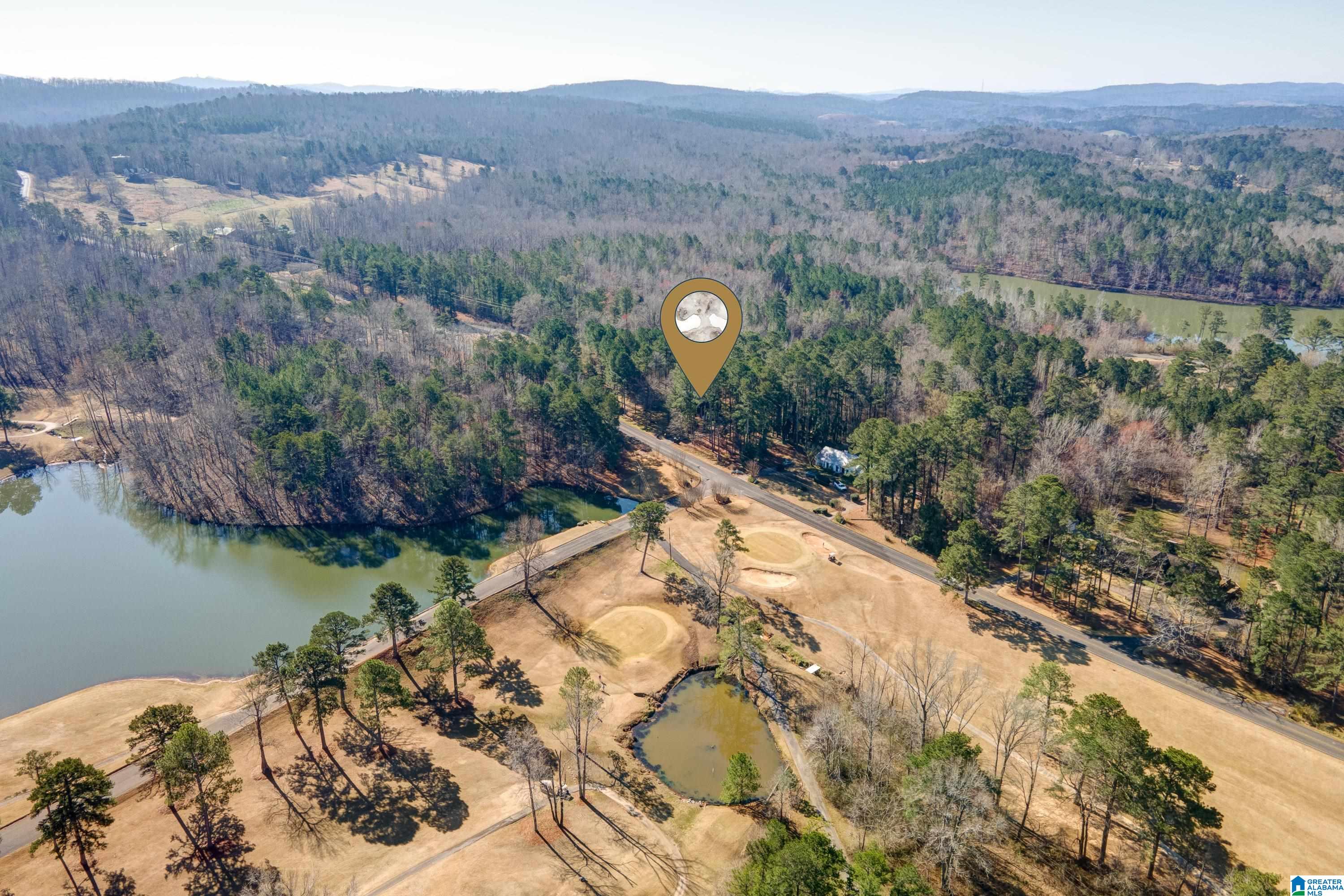 8970 Marsh Mountain Road Pinson, AL 35126 - Photo 44 of 48