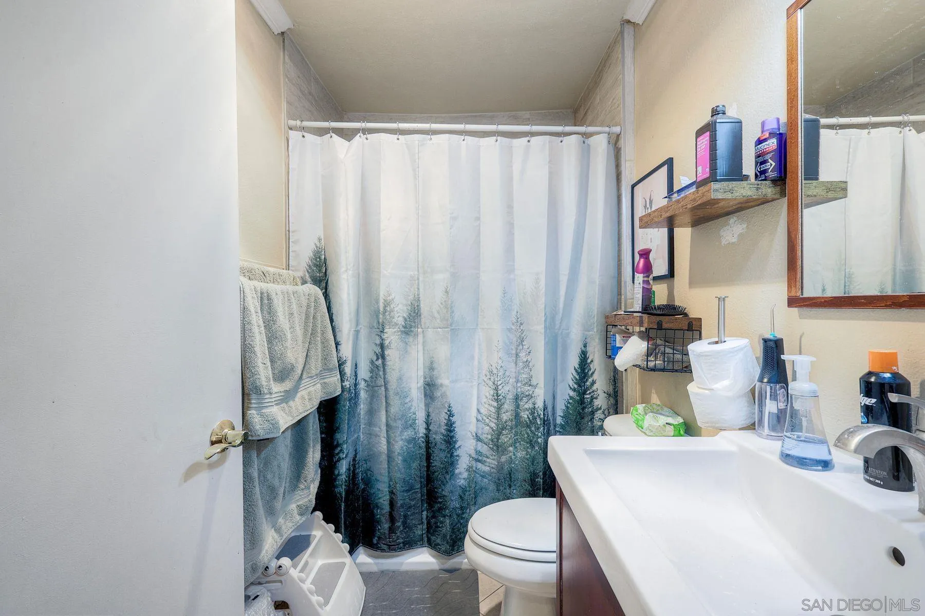 12923 Mapleview Street, Unit 6 Lakeside, CA 92040 - Photo 18 of 25 a bathroom with a sink toilet and shower curtain