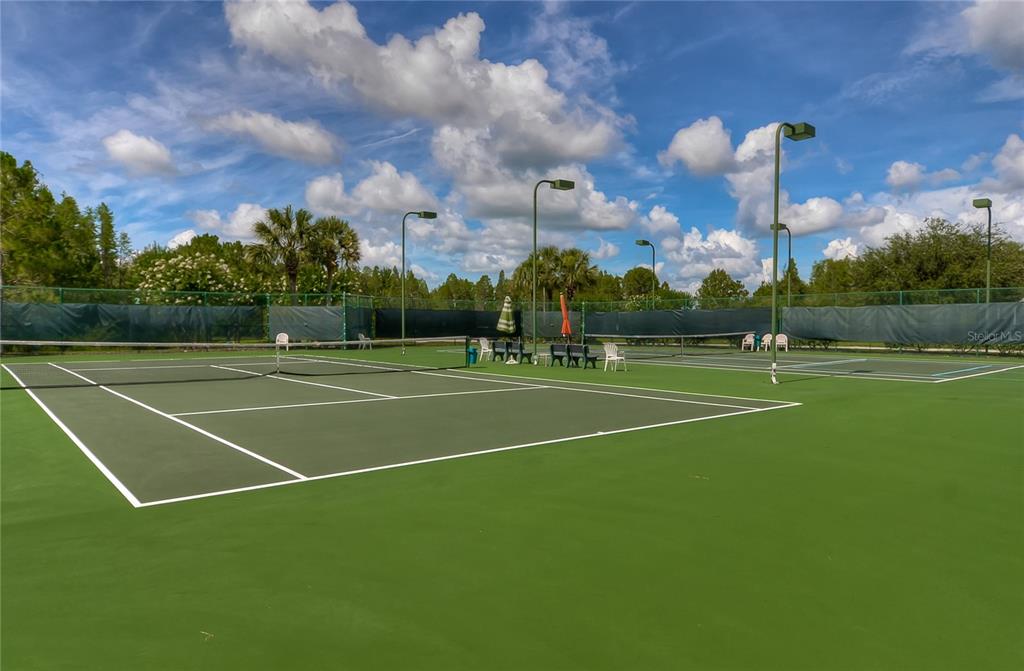 8049 Sanguinelli Road Land O Lakes, FL 34637 - Photo 32 of 33