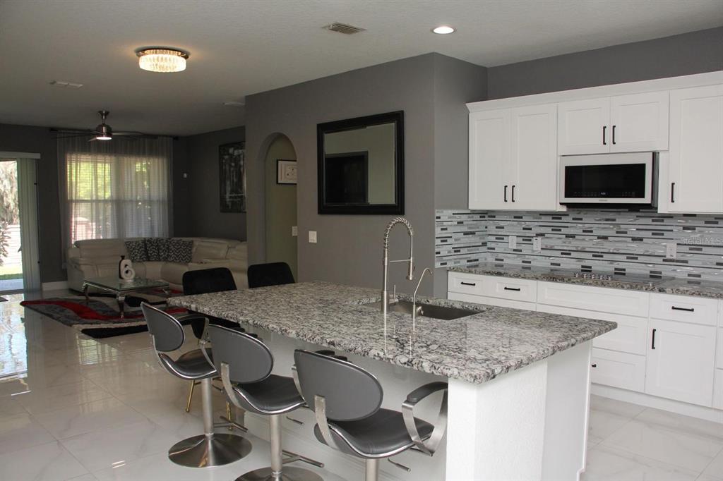 1991 Sanderlin Point Loop Apopka, FL 32703 - Photo 2 of 27 a kitchen with granite countertop kitchen island stainless steel appliances a sink stove and cabinets