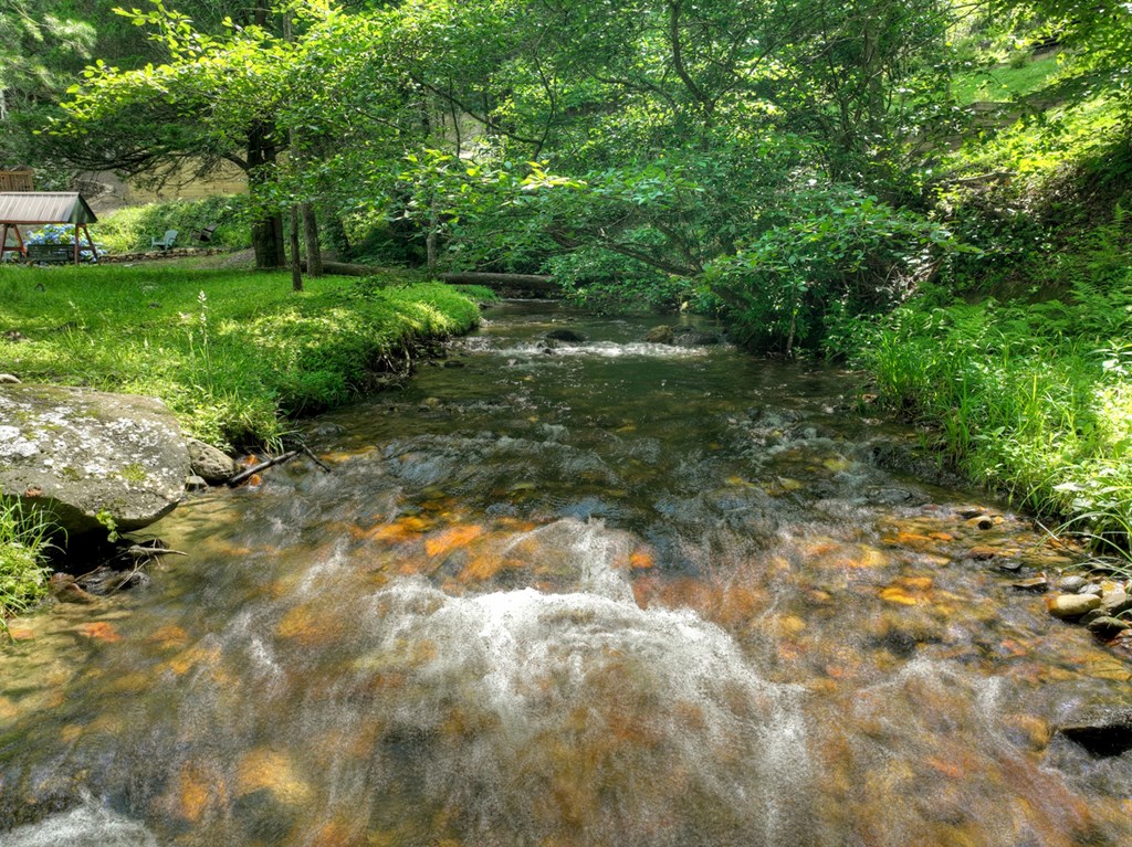 106 Butler Creek Road Cherry Log, GA 30522 - Photo 37 of 58