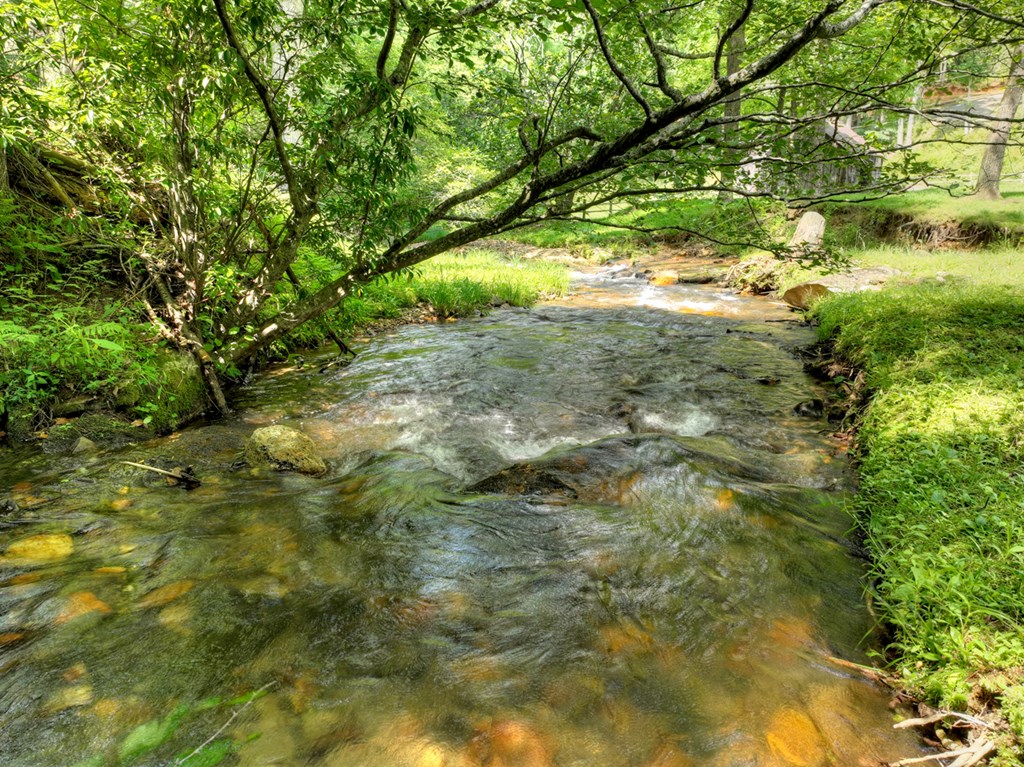 106 Butler Creek Road Cherry Log, GA 30522 - Photo 39 of 58