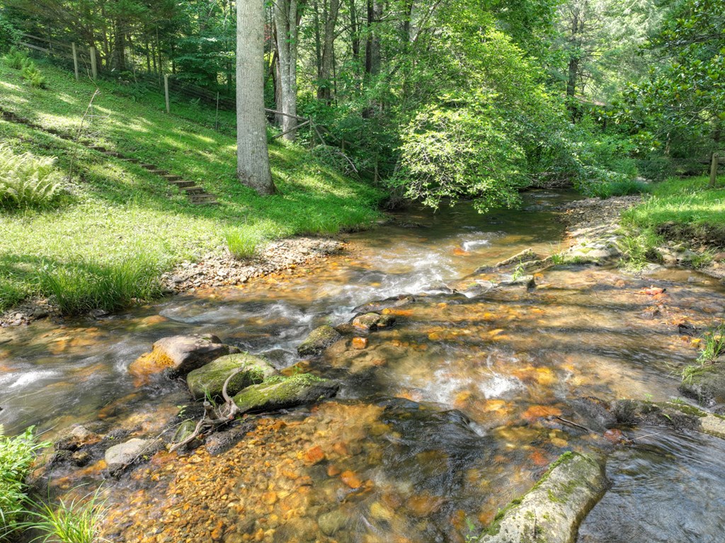 106 Butler Creek Road Cherry Log, GA 30522 - Photo 40 of 58
