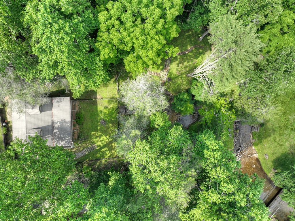 106 Butler Creek Road Cherry Log, GA 30522 - Photo 53 of 58