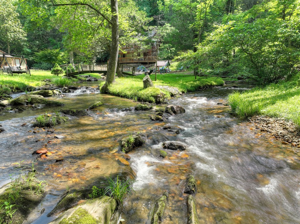 106 Butler Creek Road Cherry Log, GA 30522 - Photo 54 of 58
