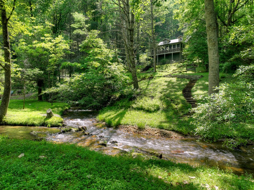 106 Butler Creek Road Cherry Log, GA 30522 - Photo 57 of 58