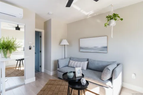 a living room with furniture and a potted plant