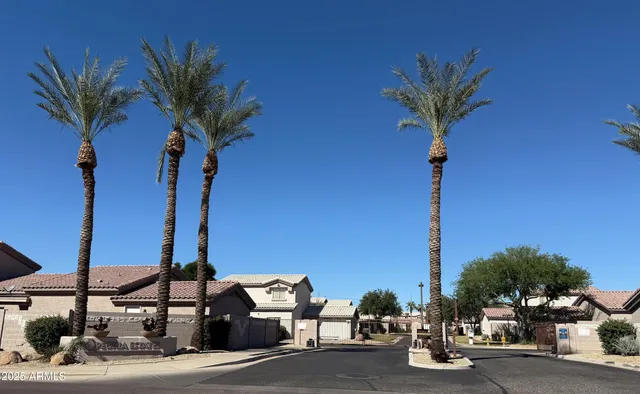 a palm tree sitting in front of a building