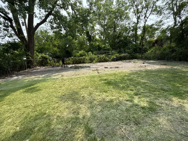 a view of a yard with a tree