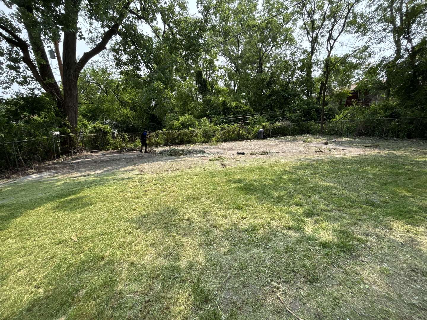 13621 Homan Avenue Robbins, IL 60472 - Photo 25 of 25 a view of a yard with a tree