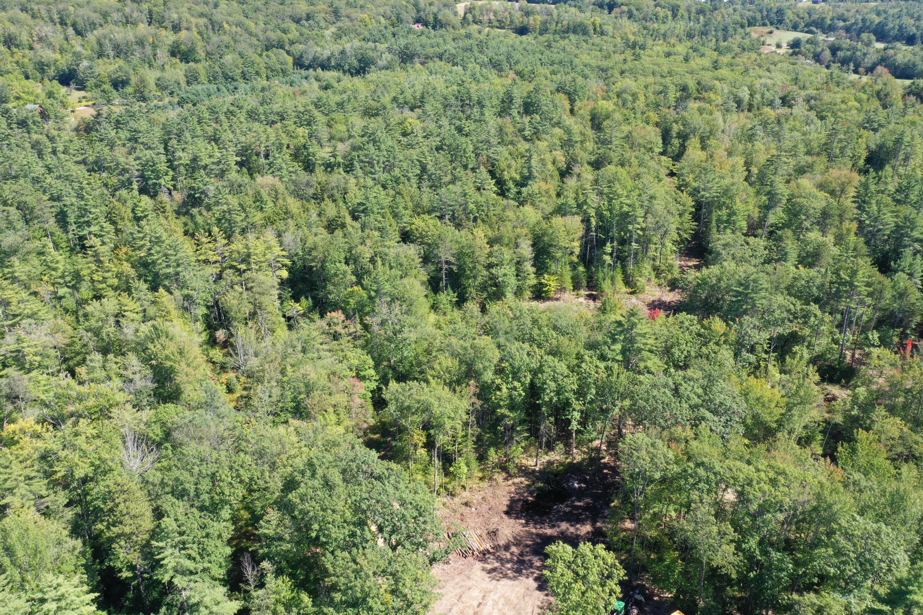 Lot 7 Province Lake Road Parsonsfield, ME 04047 - Photo 7 of 14 DJI_0777