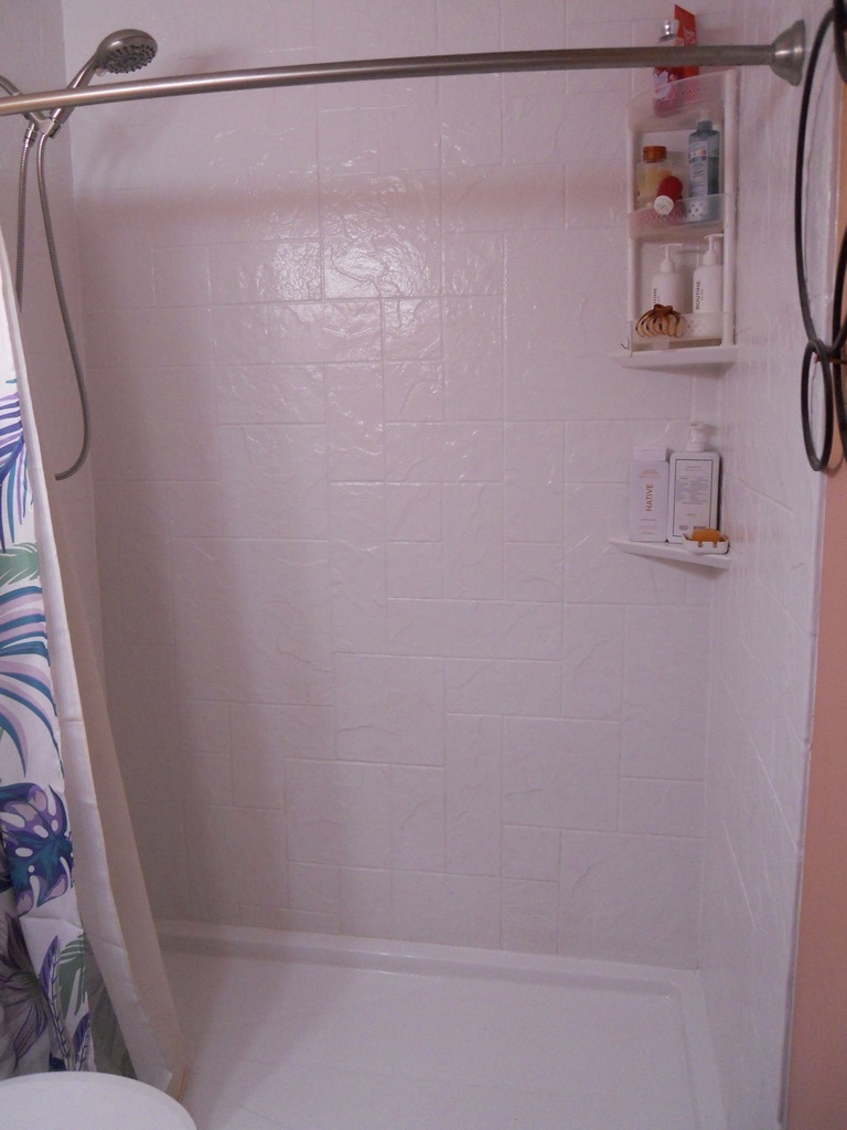 108 Kenneth Circle Elgin, IL 60120 - Photo 20 of 28 a bathroom with a shower