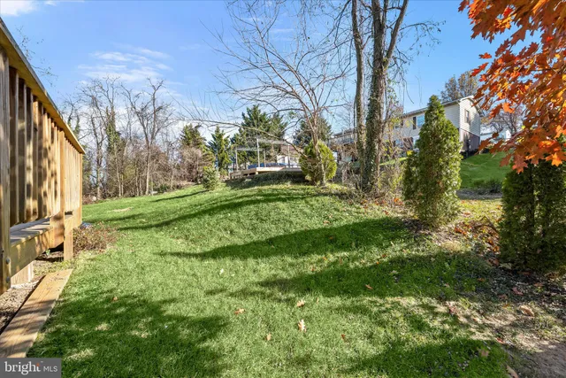 a view of a park with large trees