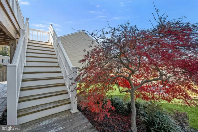 a view of a house with a big yard potted plants and large tree