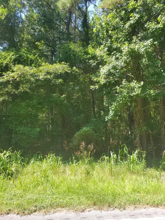 $175,000 | 0 Offspring Court, Sumter, SC 29153