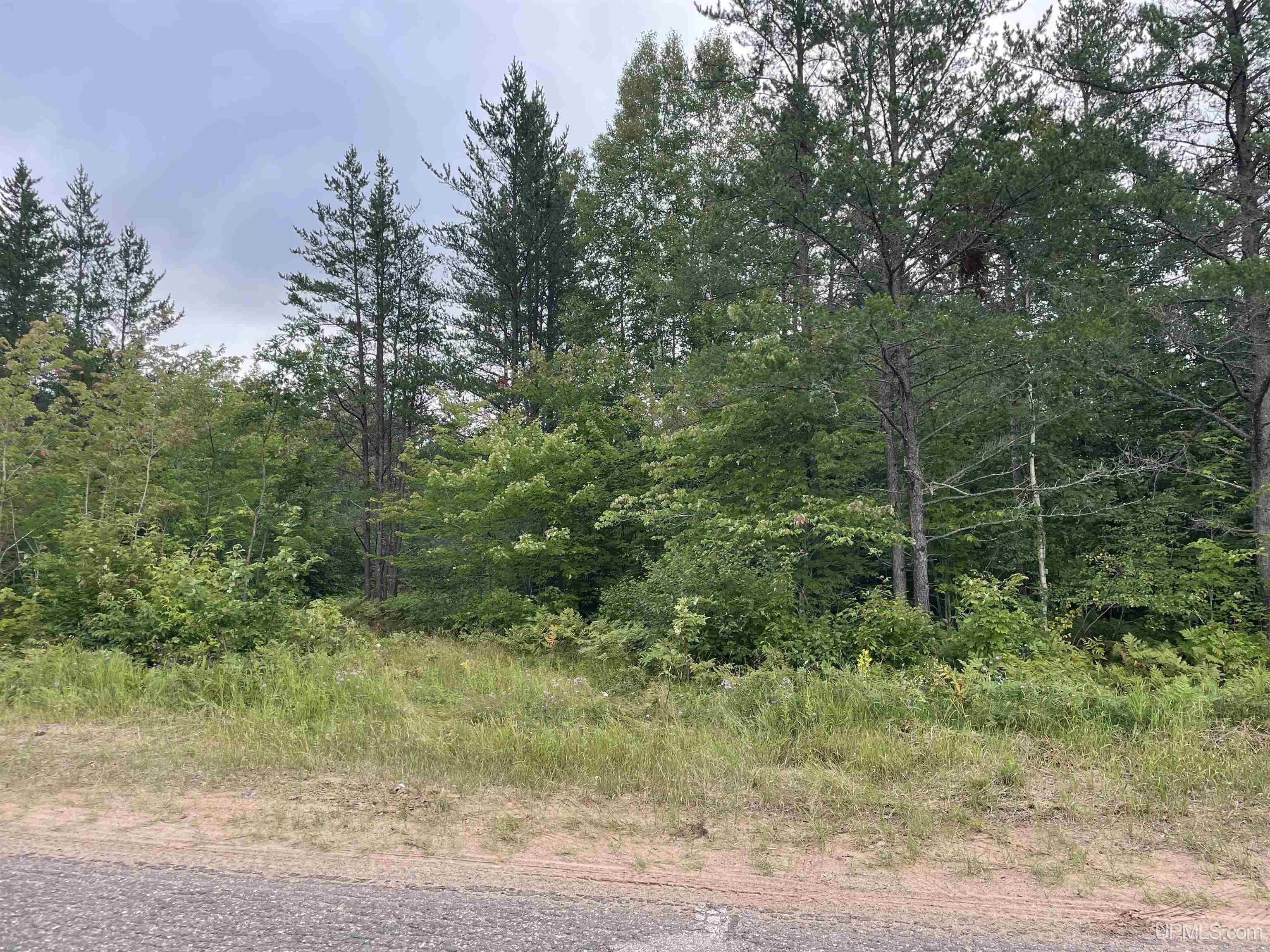 456 North Rd Little Lake Little Lake, MI 49833 - Photo 1 of 29
