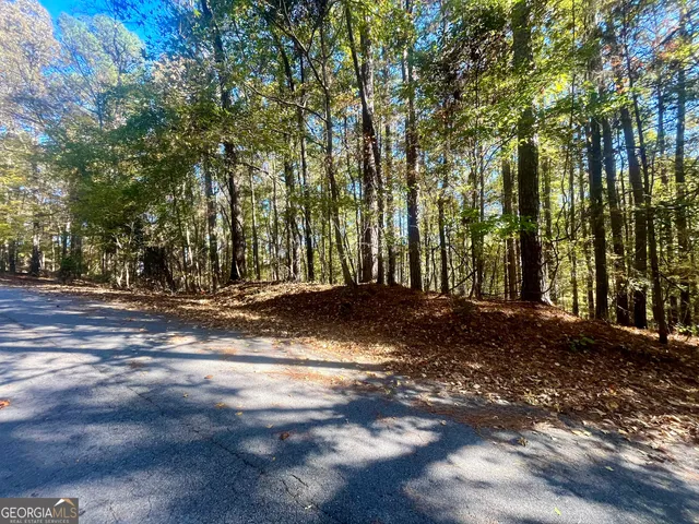a view of outdoor space with deck and tree