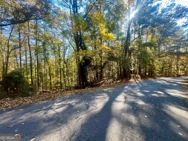 a view of road and trees