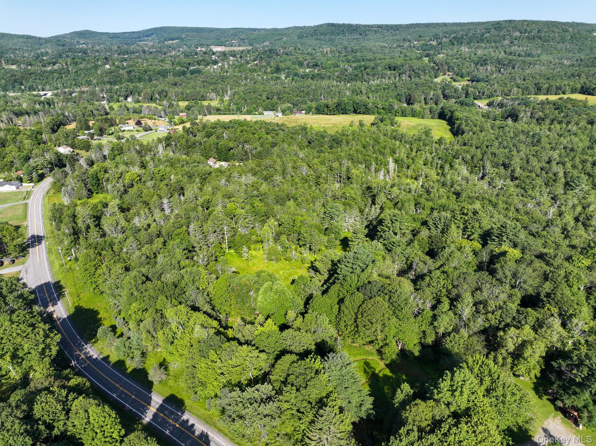 Lot 3 Neversink Road Liberty, NY 12754 - Photo 12 of 12